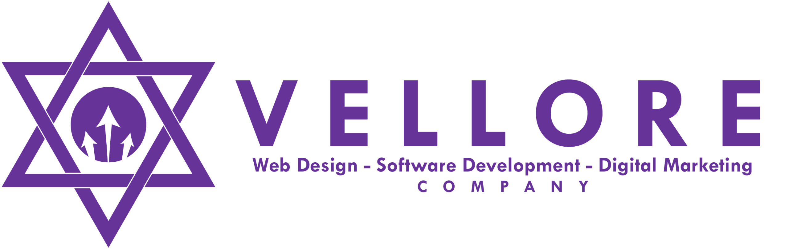 Vellore Web Design Company Logo